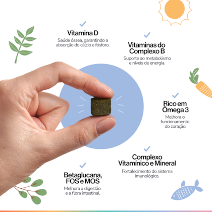 image_e7c11b93-51d8-424d-92a9-5fabaf64dc7b