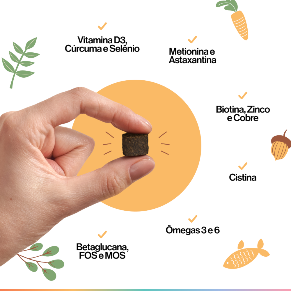 image_183f2eff-b5b4-4a89-baa1-6ee039955348