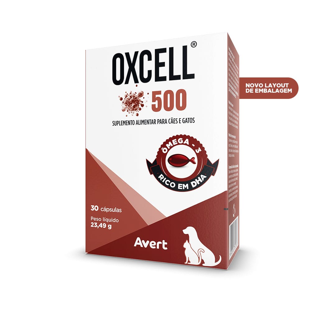 image_242873b2-3d45-4a44-9a5d-e28be8b0a2c0