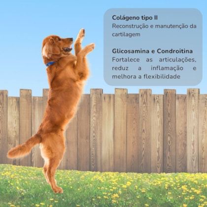 image_8997a807-168e-42ff-85bd-da95786f626f