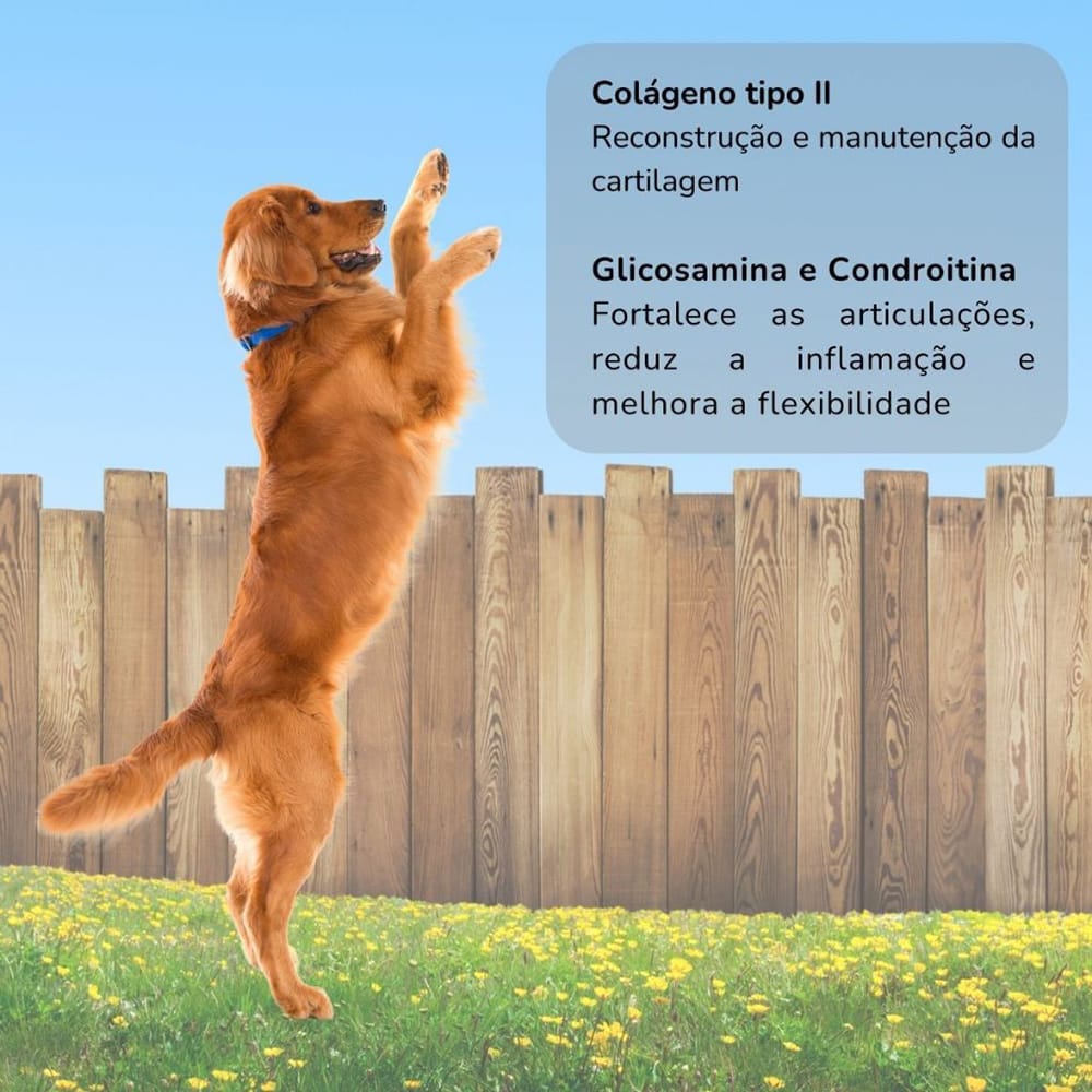 image_faf3ef31-6d73-497a-97db-f60bba053aa7