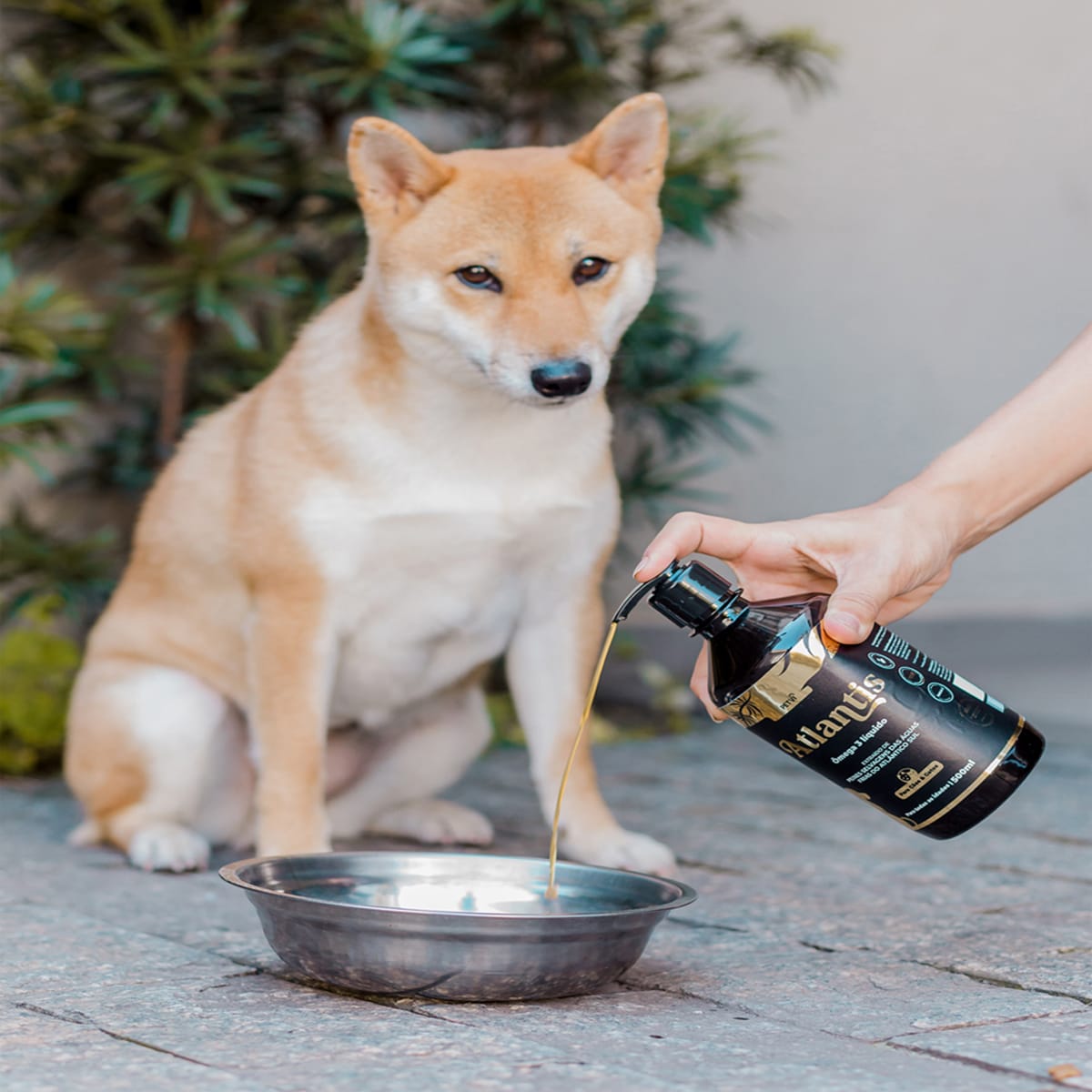 image_5ea297ed-ab5d-4f51-ab7d-f1c8edd52031