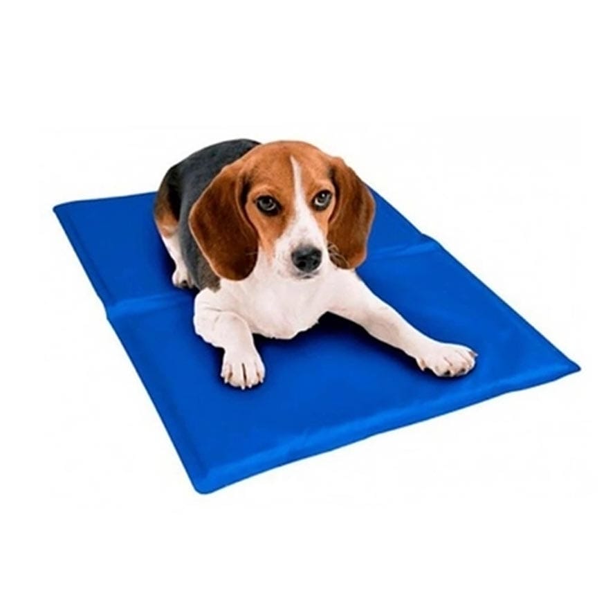 image_eb9ea5d6-8673-4fc4-8036-b61274b3aaee