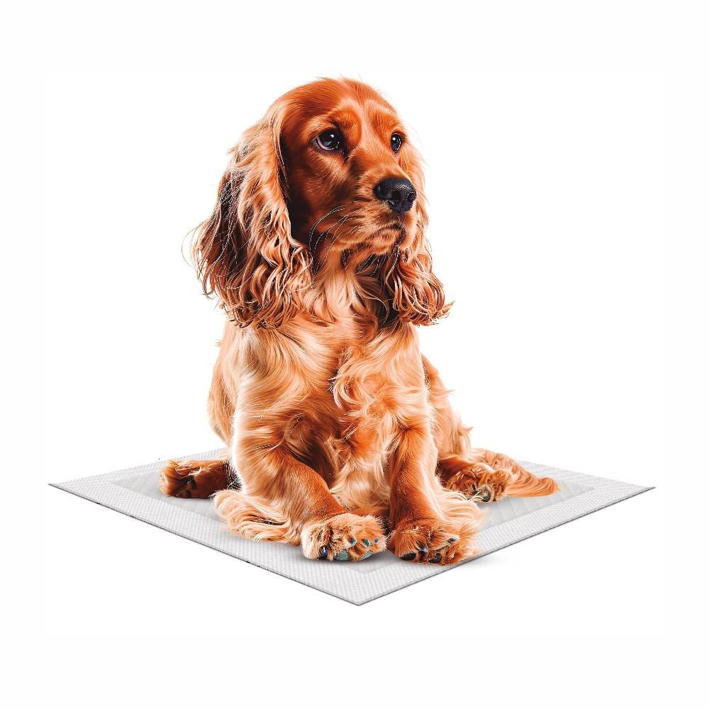 image_848fbce9-0f0f-45b7-a6ae-bda013f773b0