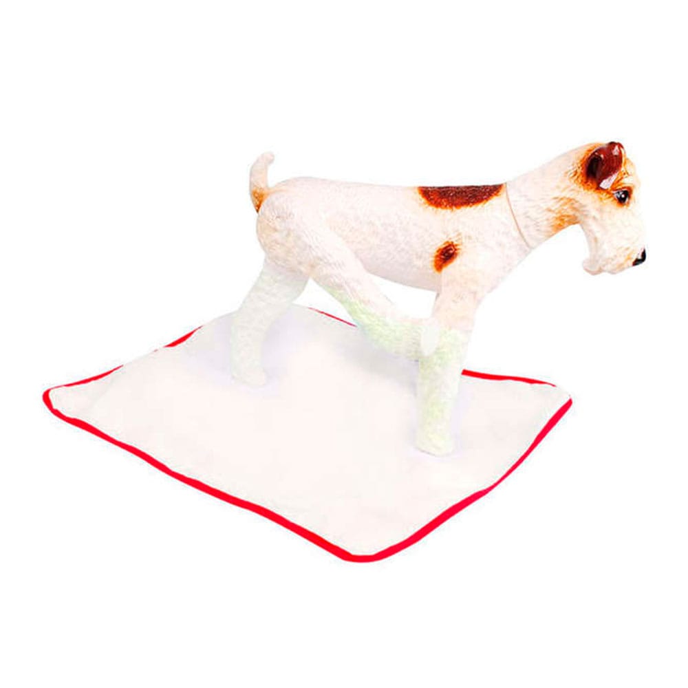 image_8873bc74-58a2-4fd1-9a8a-e9f9117efebf