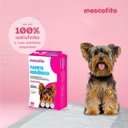 image_e2bb5289-7a0c-4bb8-8250-818a151a6811