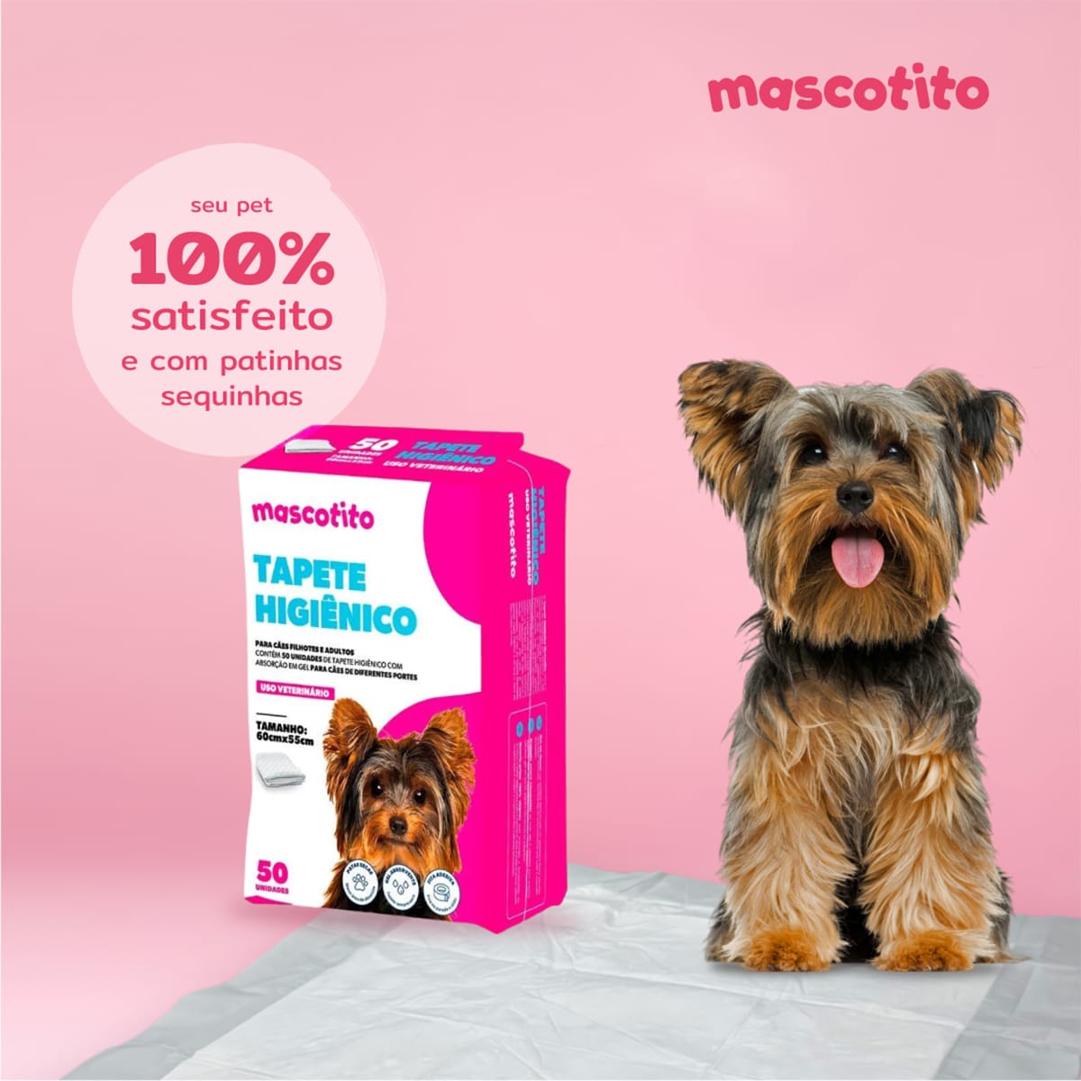 image_cca8c109-a165-4518-9d3f-dd77f09d47af