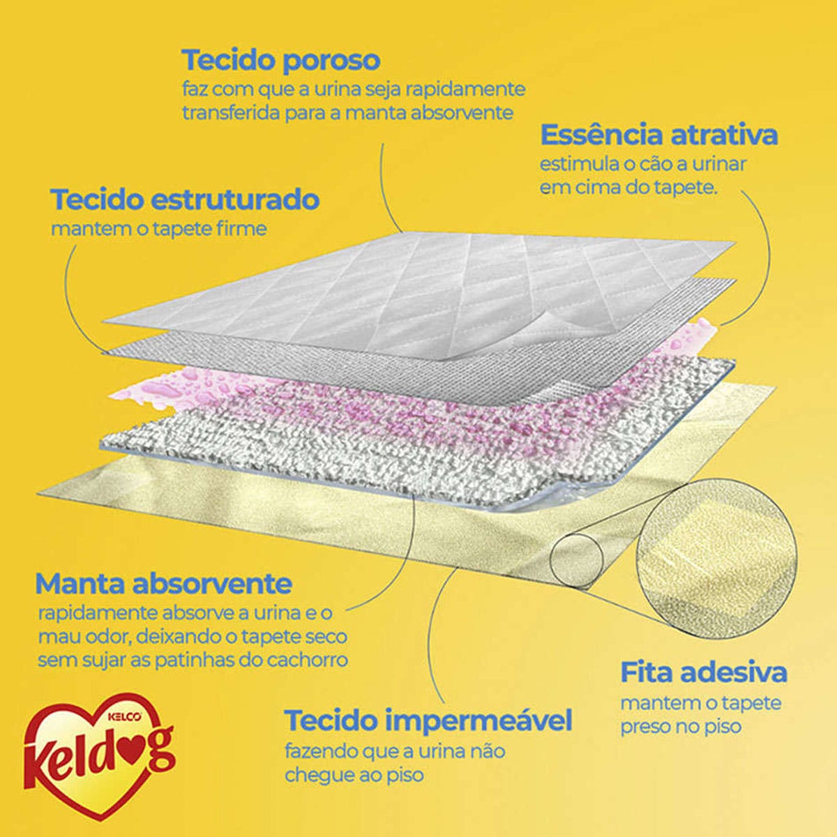 image_9dfc8a74-f947-49b6-a5a8-bbf6de8e09fb