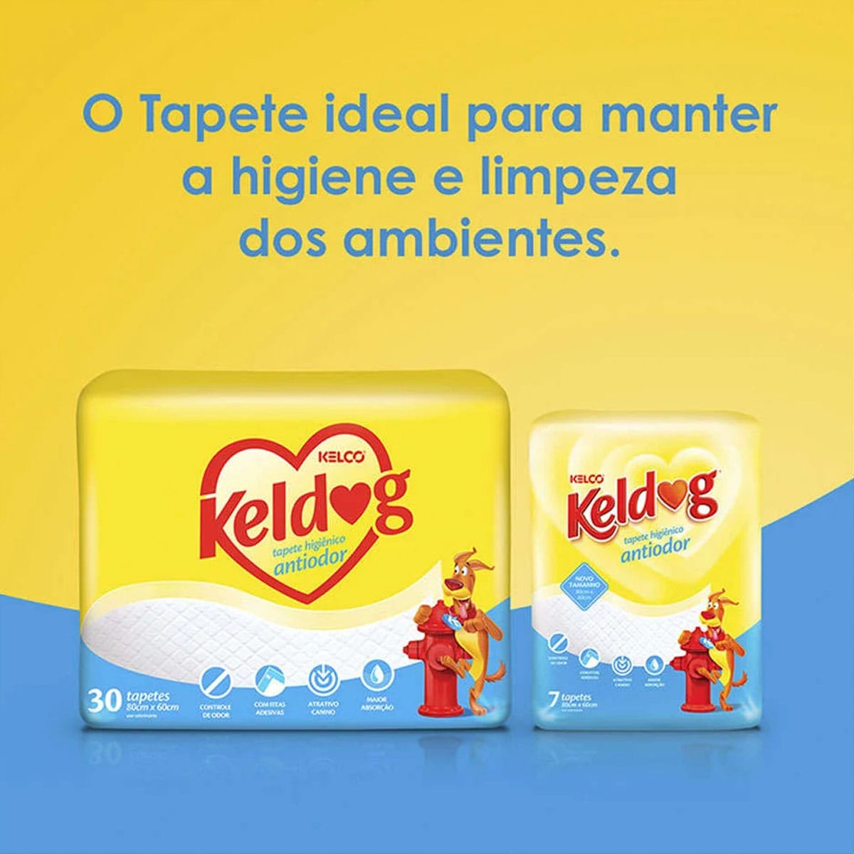 image_3070803b-eb38-449f-9ef2-479e3cbefbe7