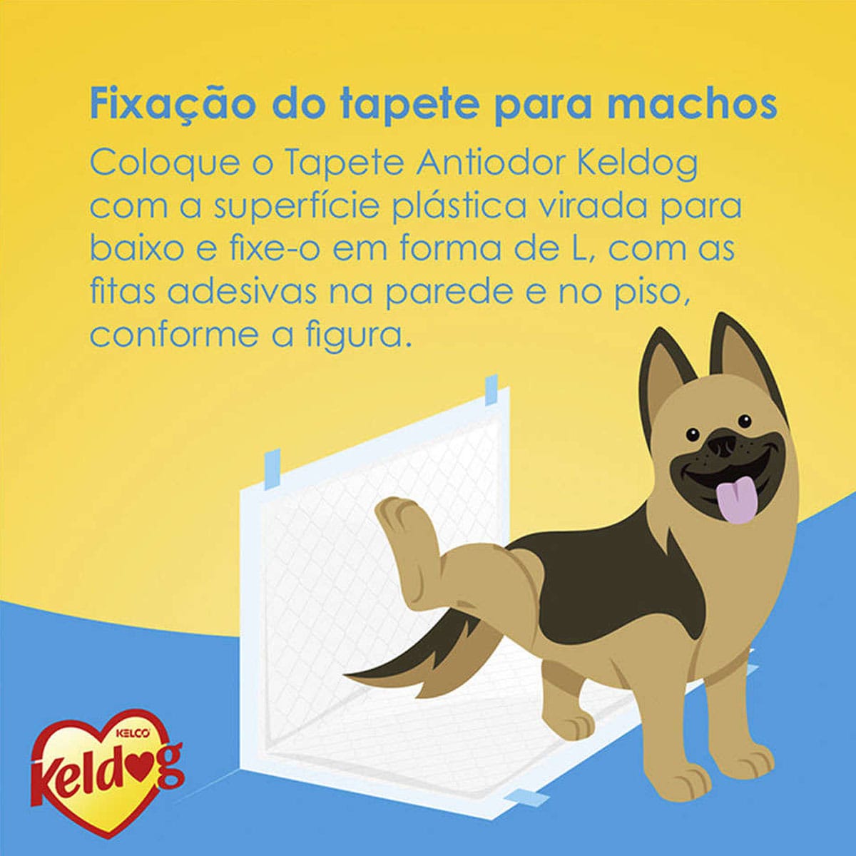 image_36a4b9f3-ec9b-4b0d-8623-123f68545ab6