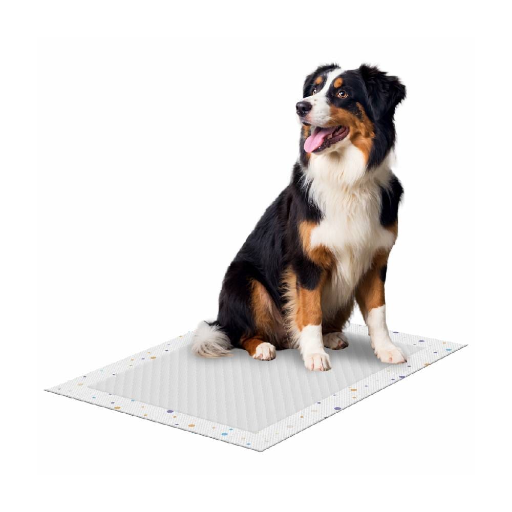 image_f5dc3b65-e0bb-4f08-890b-4c18db314a03