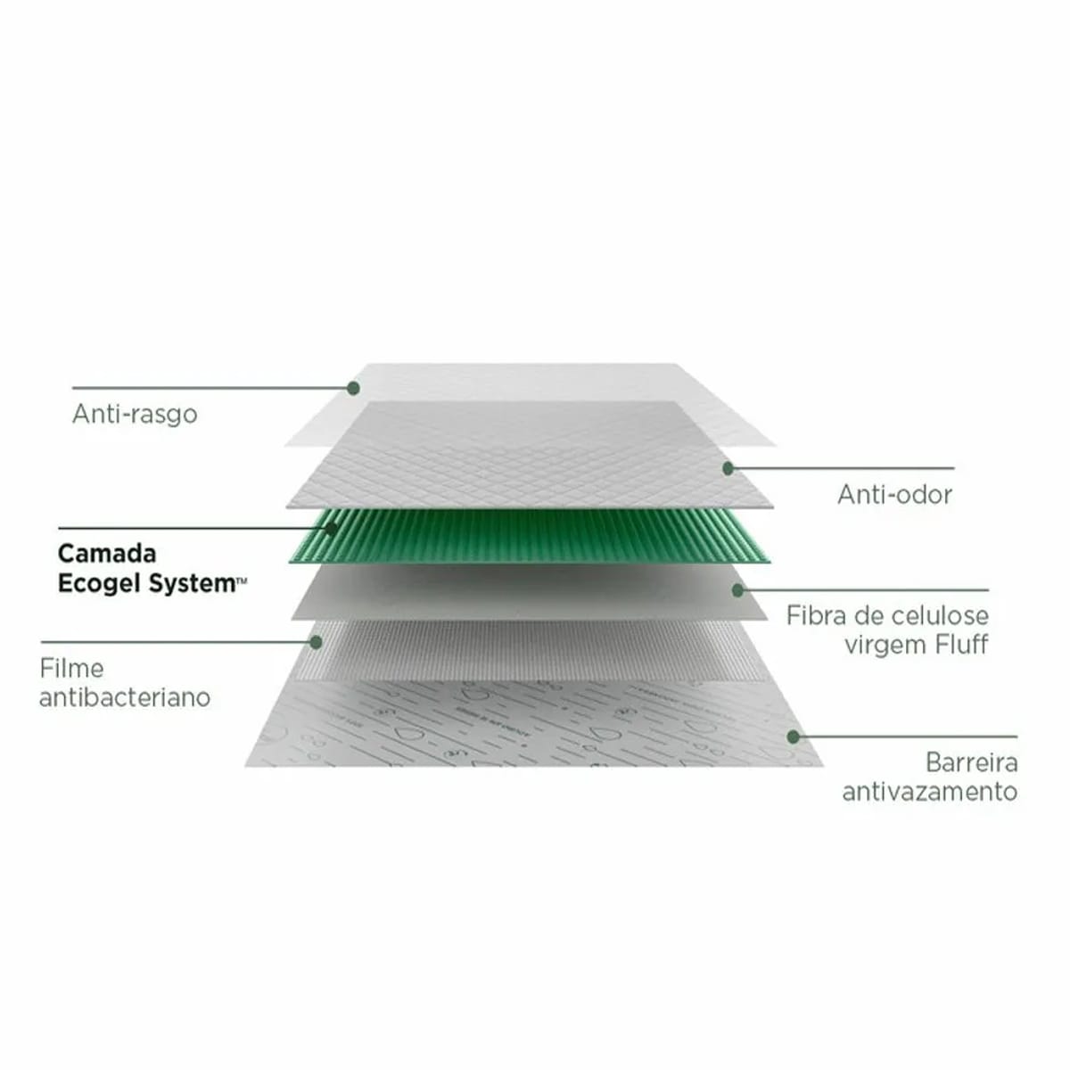 image_80245536-6264-4ea7-8046-5c2134791199