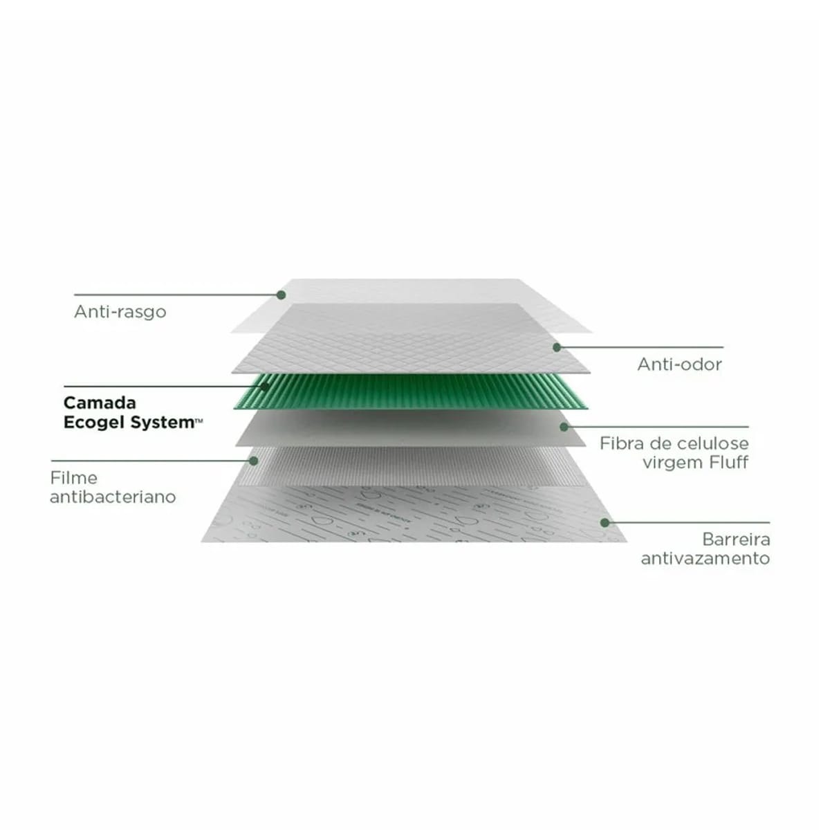 image_c4dcc82b-9cae-4434-92a1-8fd536a86edc