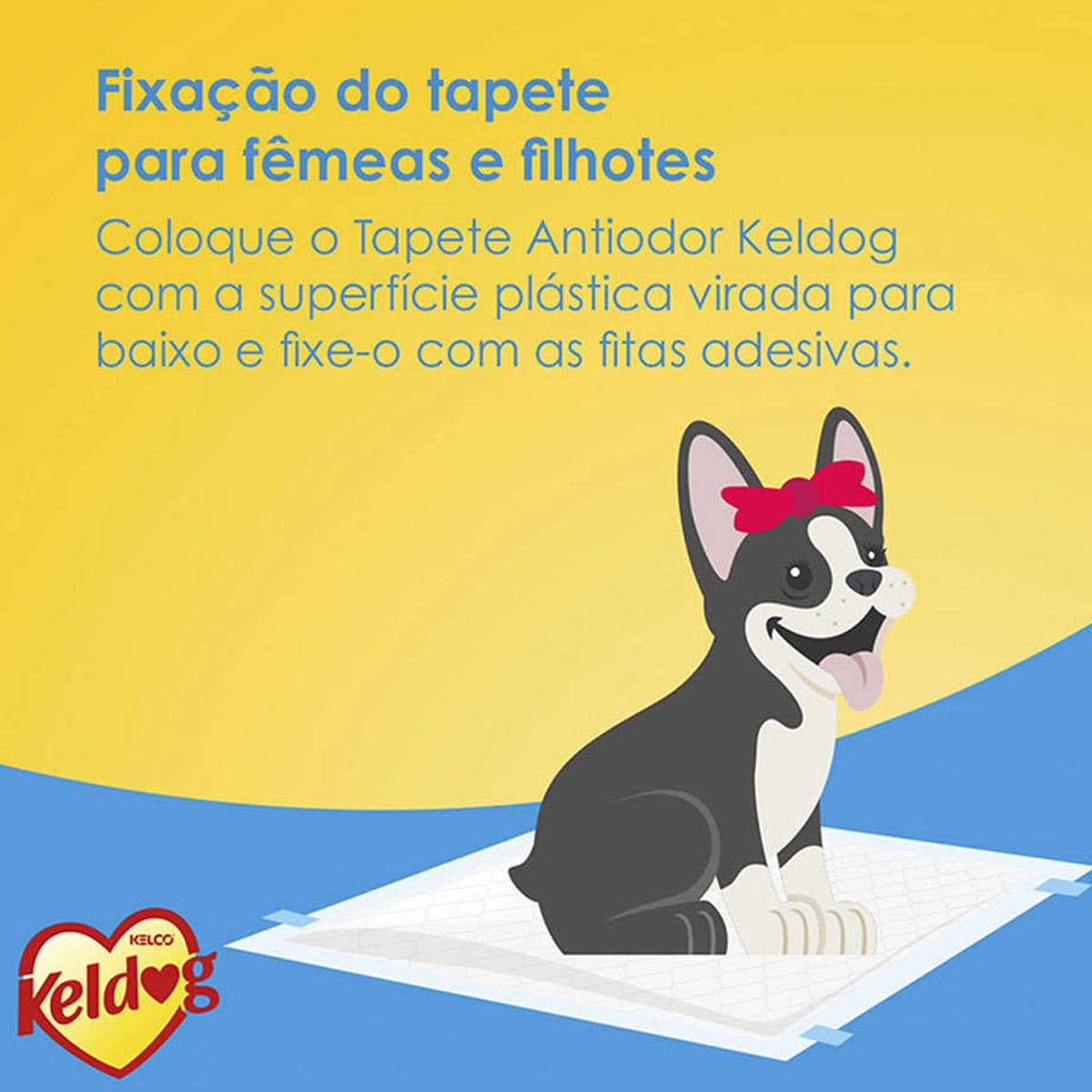 image_d753d034-1ab9-413f-b55e-dba96a70cbbc