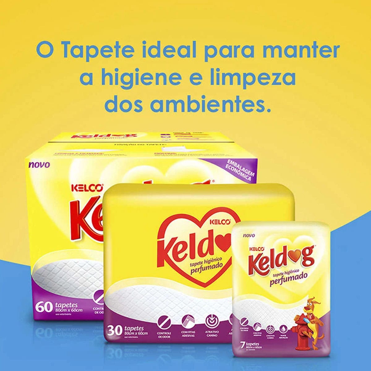 image_22680500-86ca-4e56-bc83-472062818469