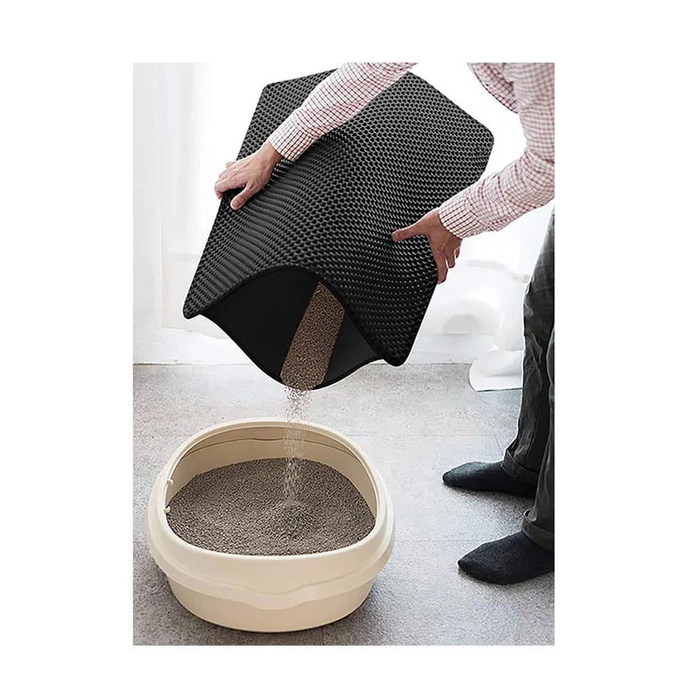 image_909f6835-2eaa-457c-9a50-918b12b1ec3f