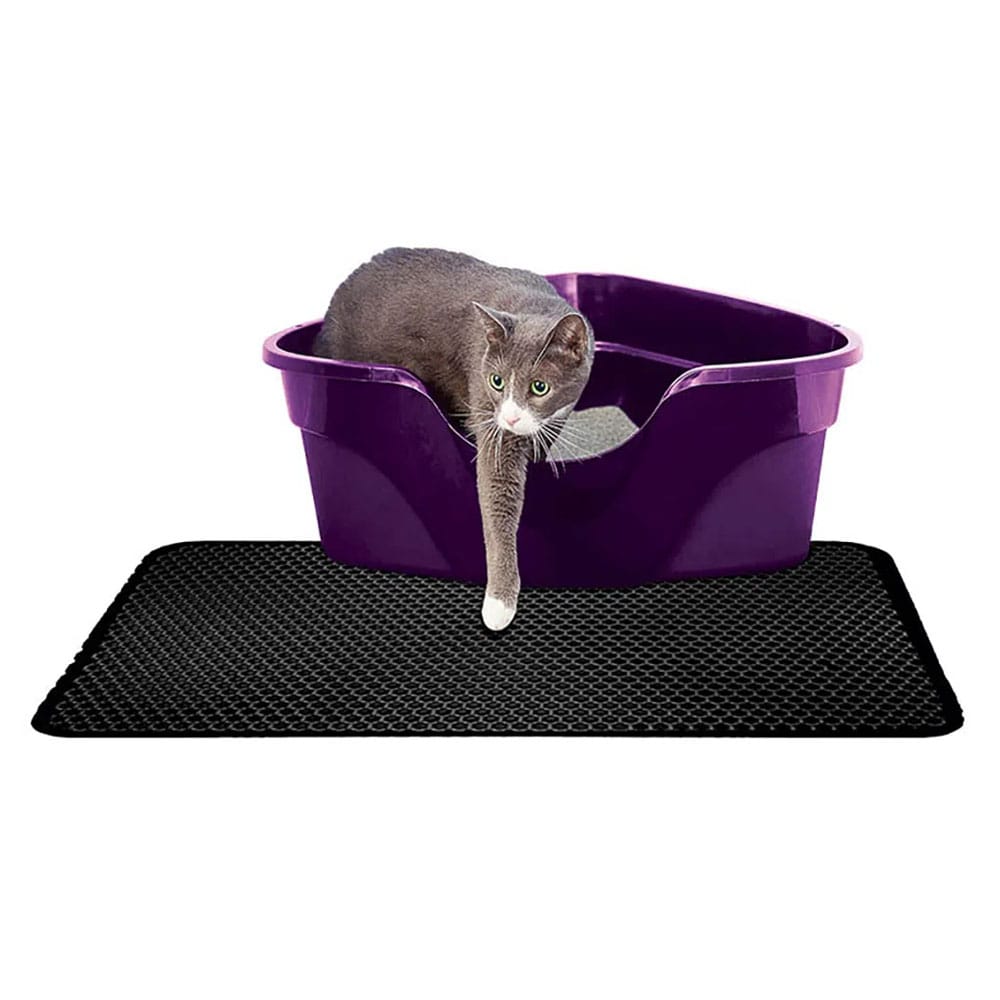 image_67e3fc7e-7048-47ae-941a-96b5479adb44