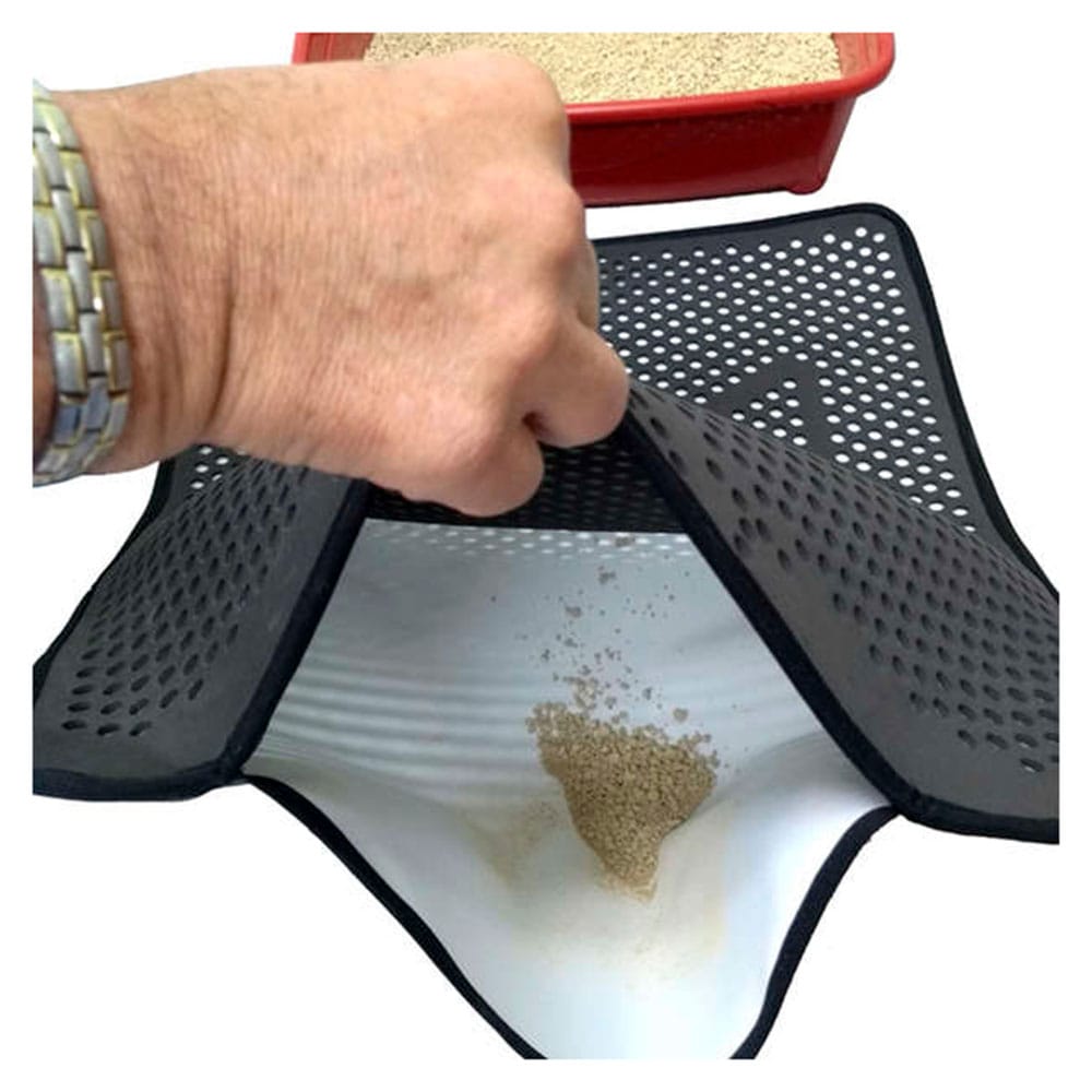 image_c1066b36-18c7-4889-aa78-c1fadfa53787