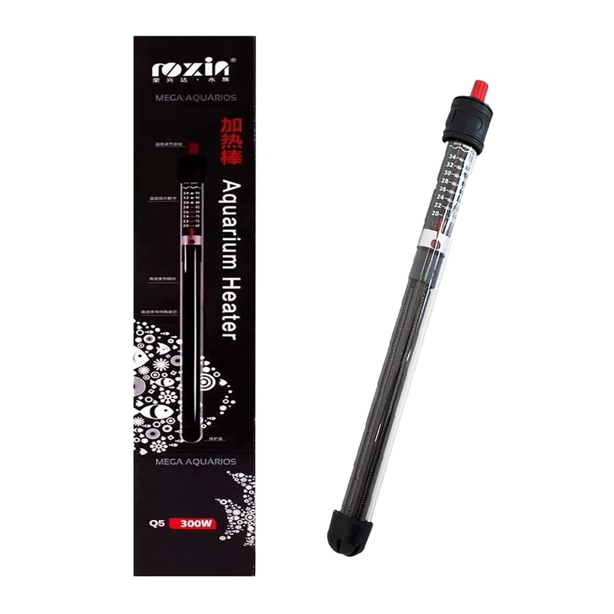 image_e05403b7-562c-48cf-ad8e-2855acd35306