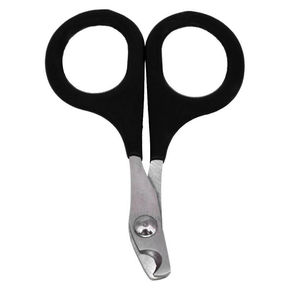 image_bd1f184c-dad0-4806-ab19-82d7b62859fe