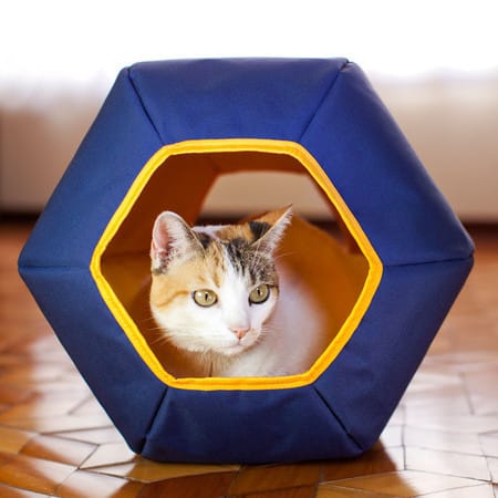 image_80195795-372e-420b-8318-0a595745ba1e