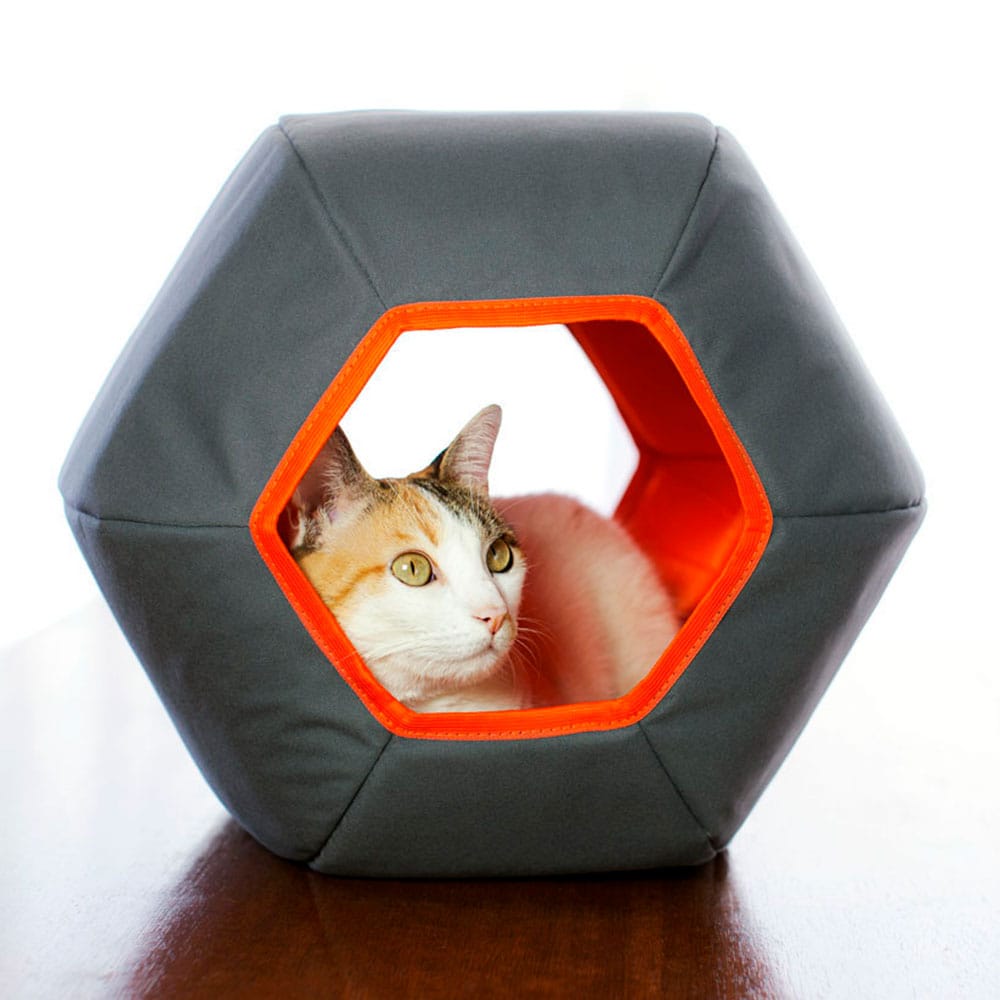 image_c0871e56-7bc5-4189-b3f1-ca889e4654ae