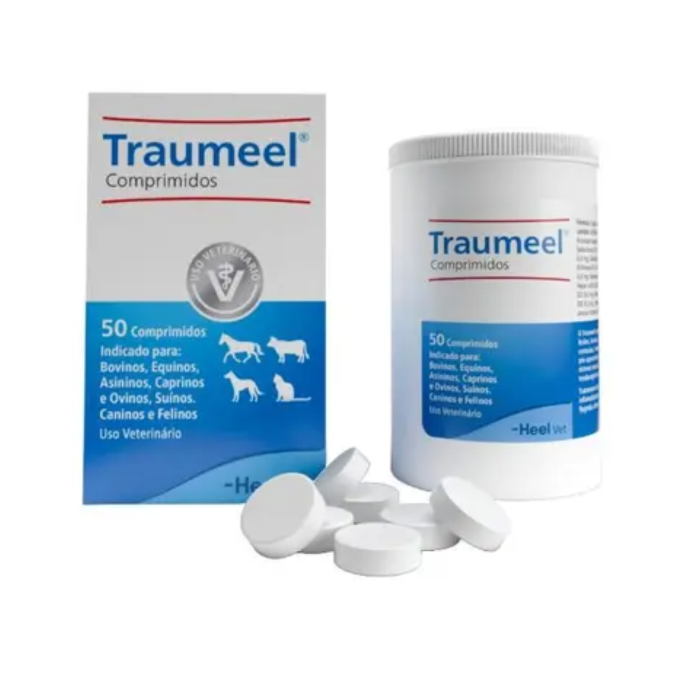 image_22580d36-018d-4e07-a49a-238d520b0431