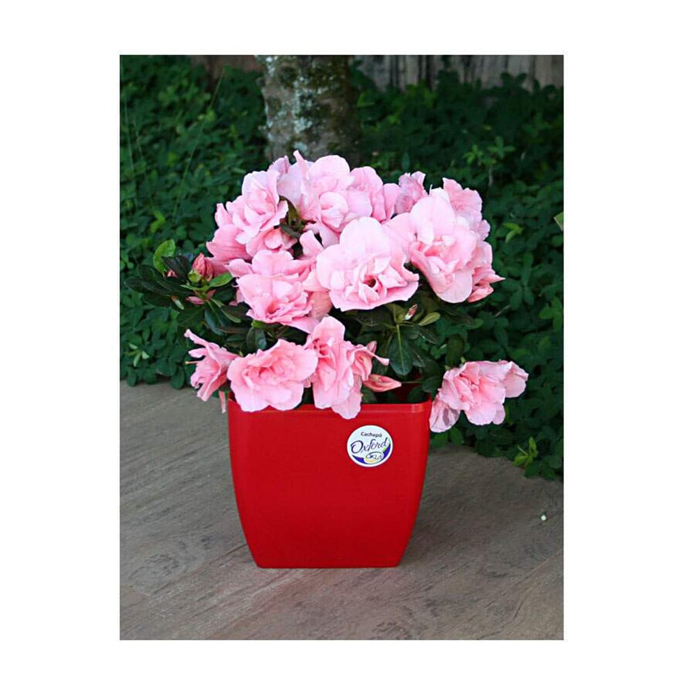 image_4c3d32bd-7ee0-4990-b67c-e7aa276943c4