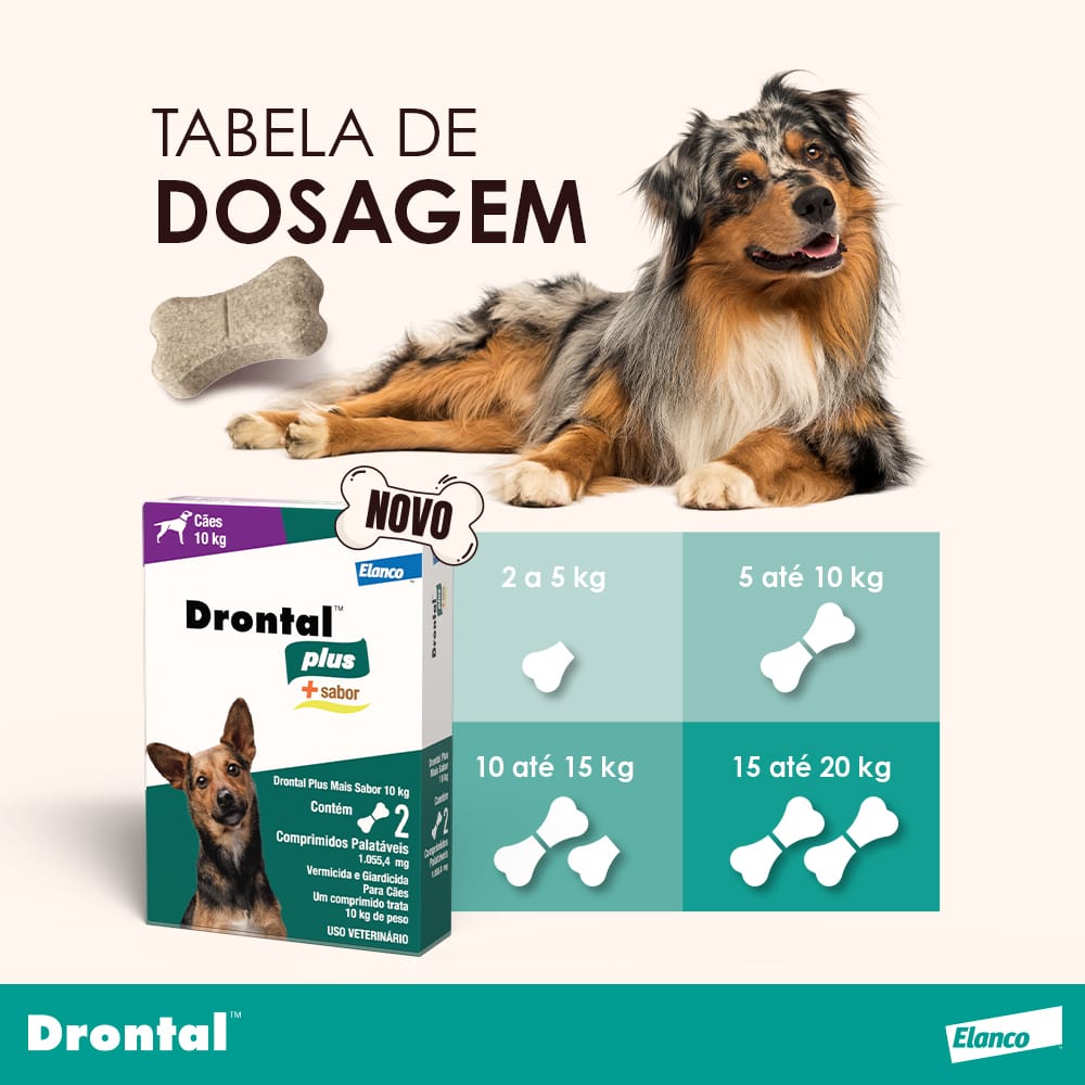 image_0e71a70e-26e1-4b51-b4c8-cf82b1a7f7c0