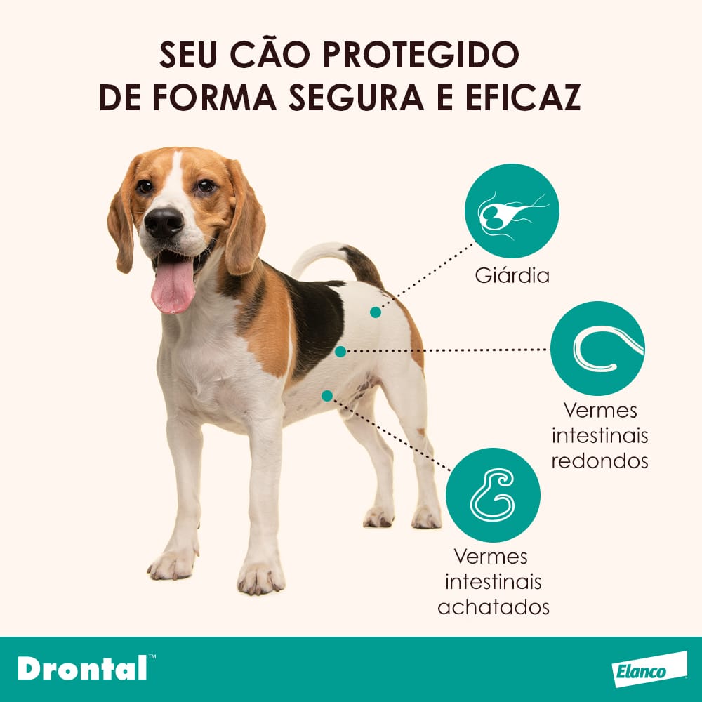 image_7e5d36a2-ae9f-4b62-842b-a7b80aaf503f