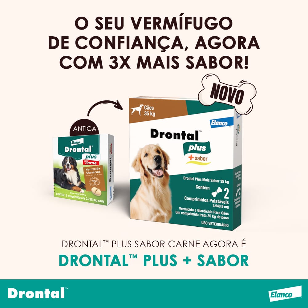 image_ece2c13c-4093-4b0b-aa01-418283c345da