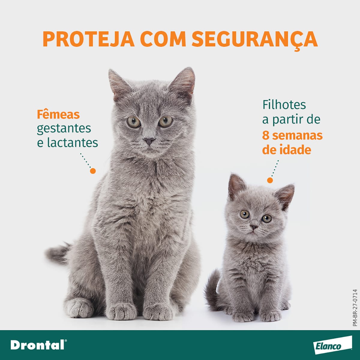 image_1dfd6f9e-6dbf-4b7b-b5db-9e1fc6d929b5