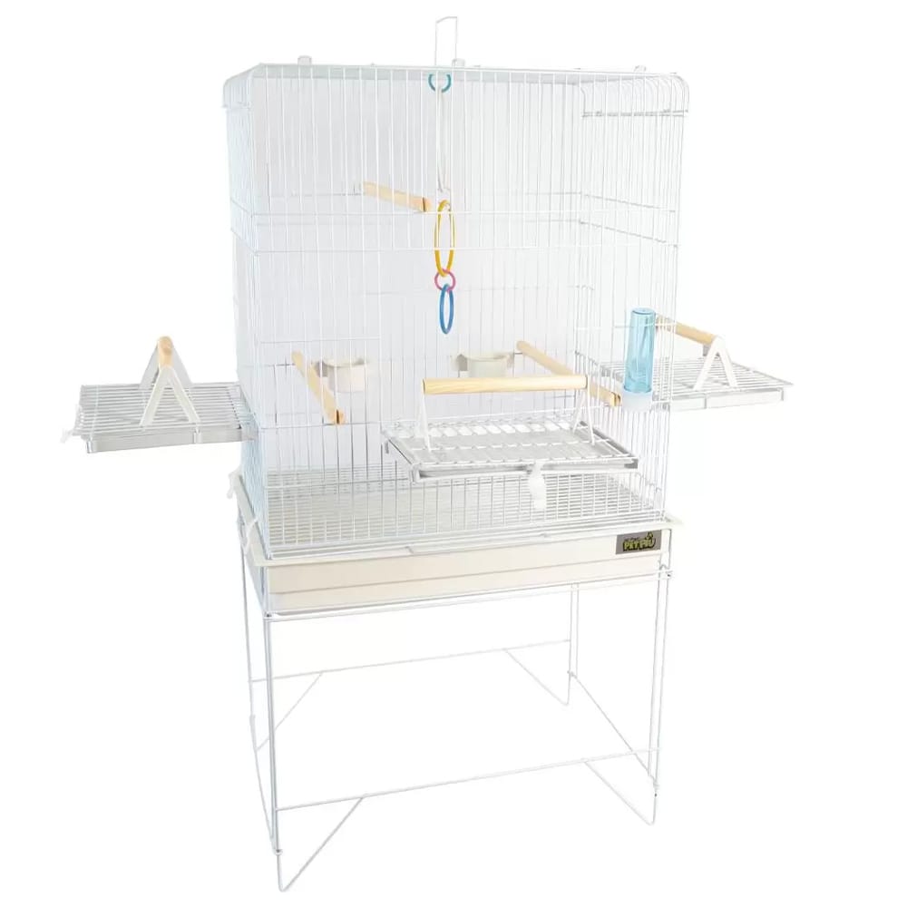 image_6214ef04-784e-4da1-a8b6-ded3f8a34de9