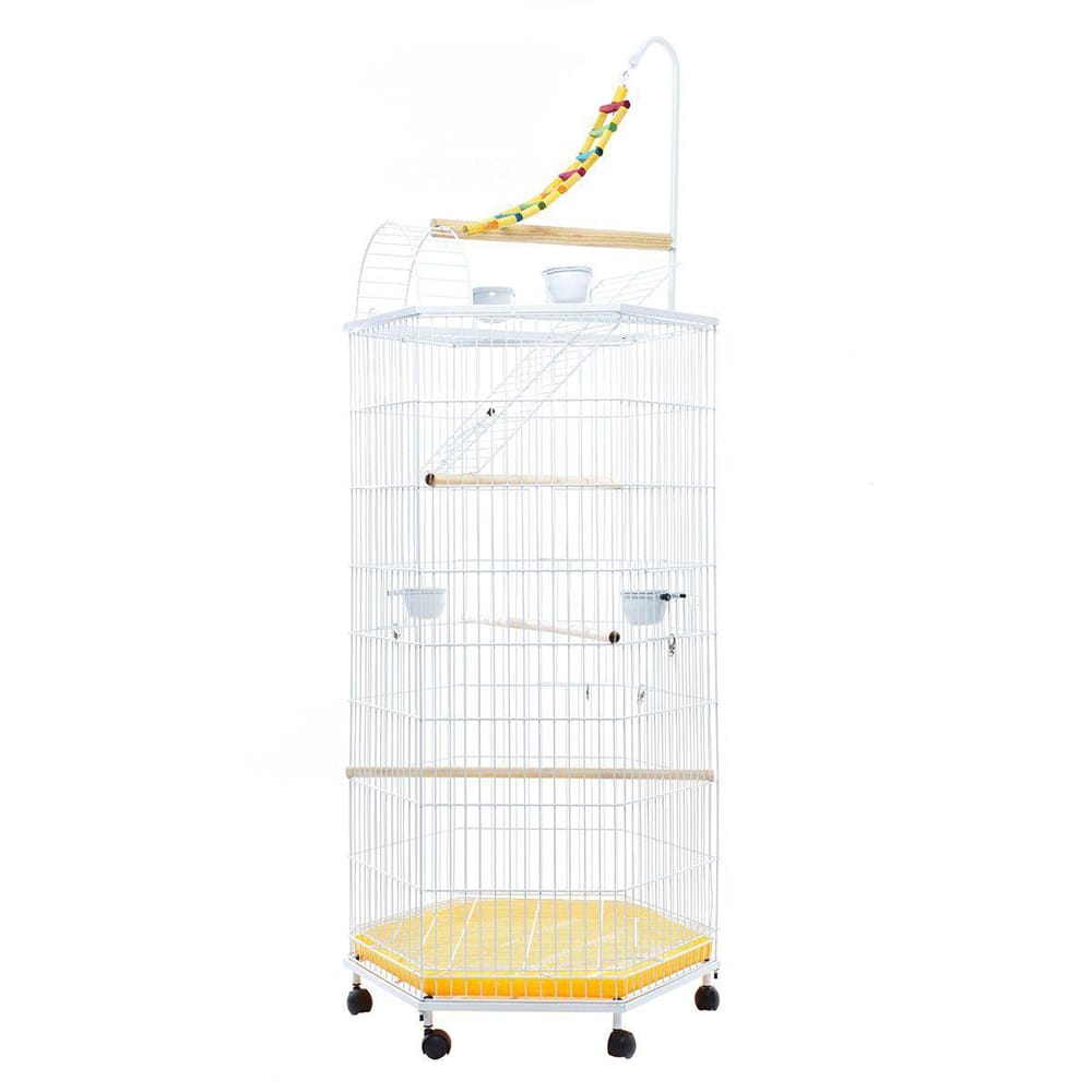 image_1ff42719-cf39-4a54-92d6-691596bfec18