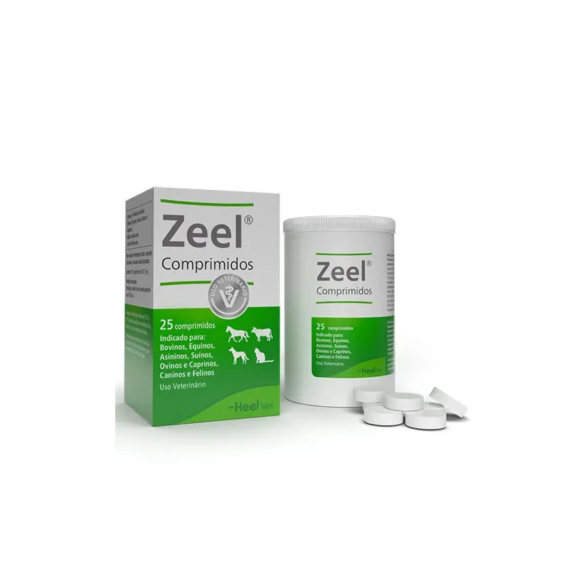 Product main image - b1c1ad38-de37-4f13-be5f-3f726468ee2e