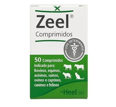 image_a3c6aafa-c6a5-4600-ab13-0104b83cd9d8