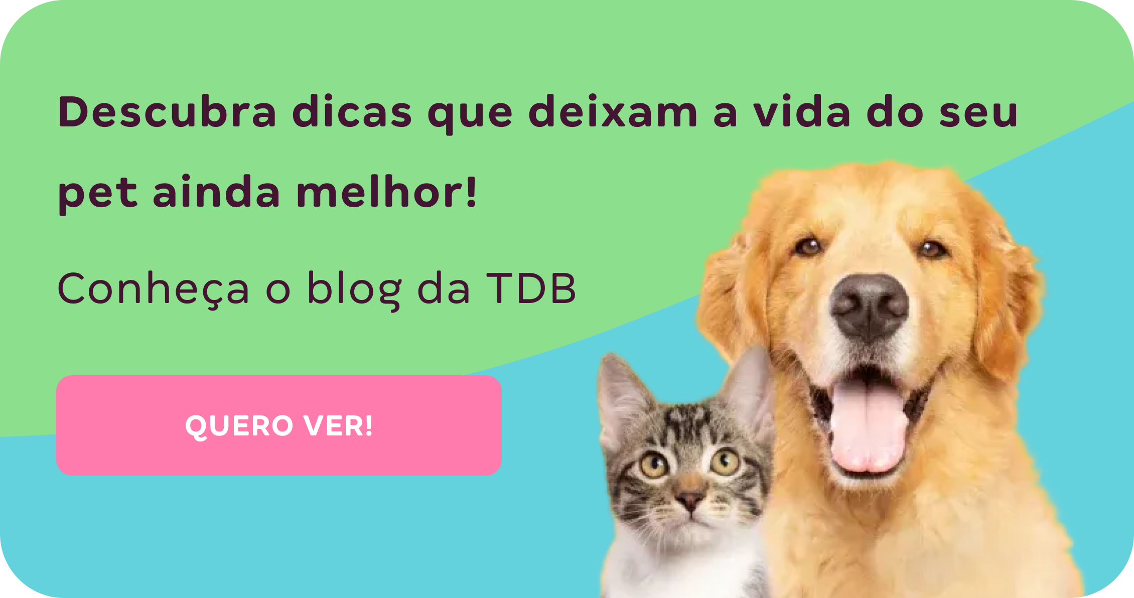 Descubra dicas que deixam a vida do seu pet ainda melhor