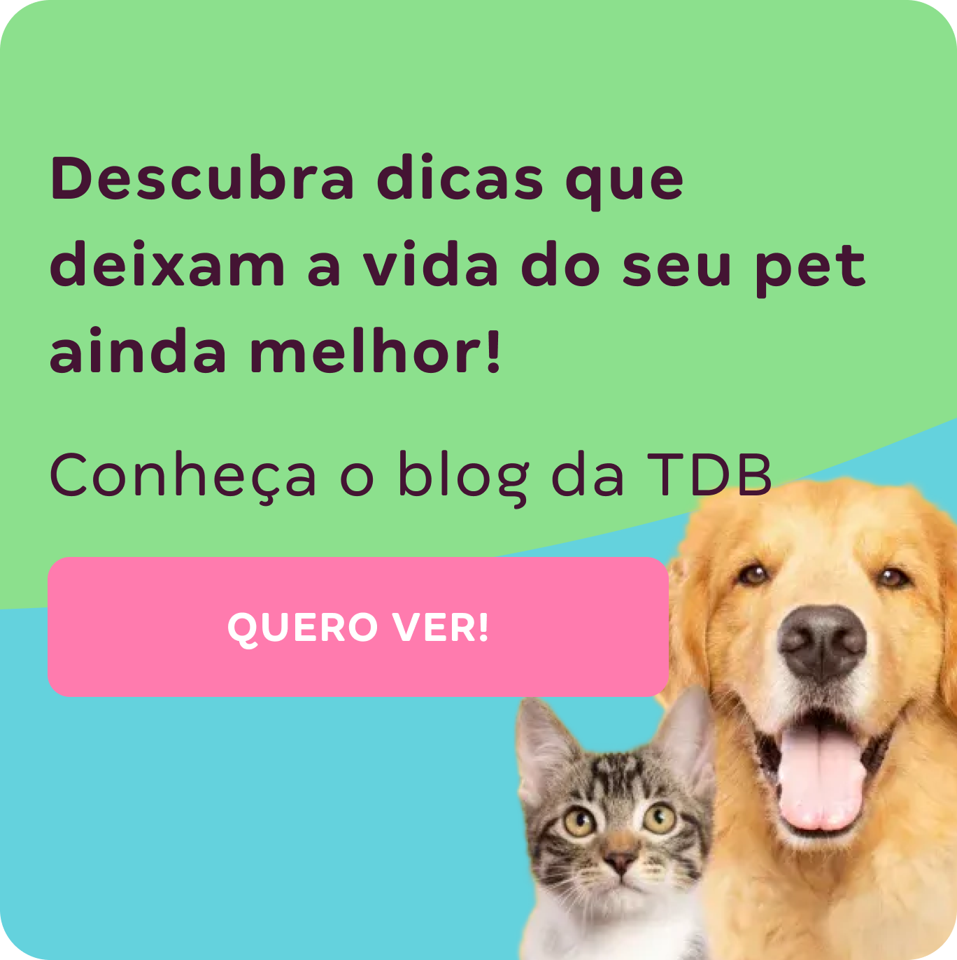 Descubra dicas que deixam a vida do seu pet ainda melhor